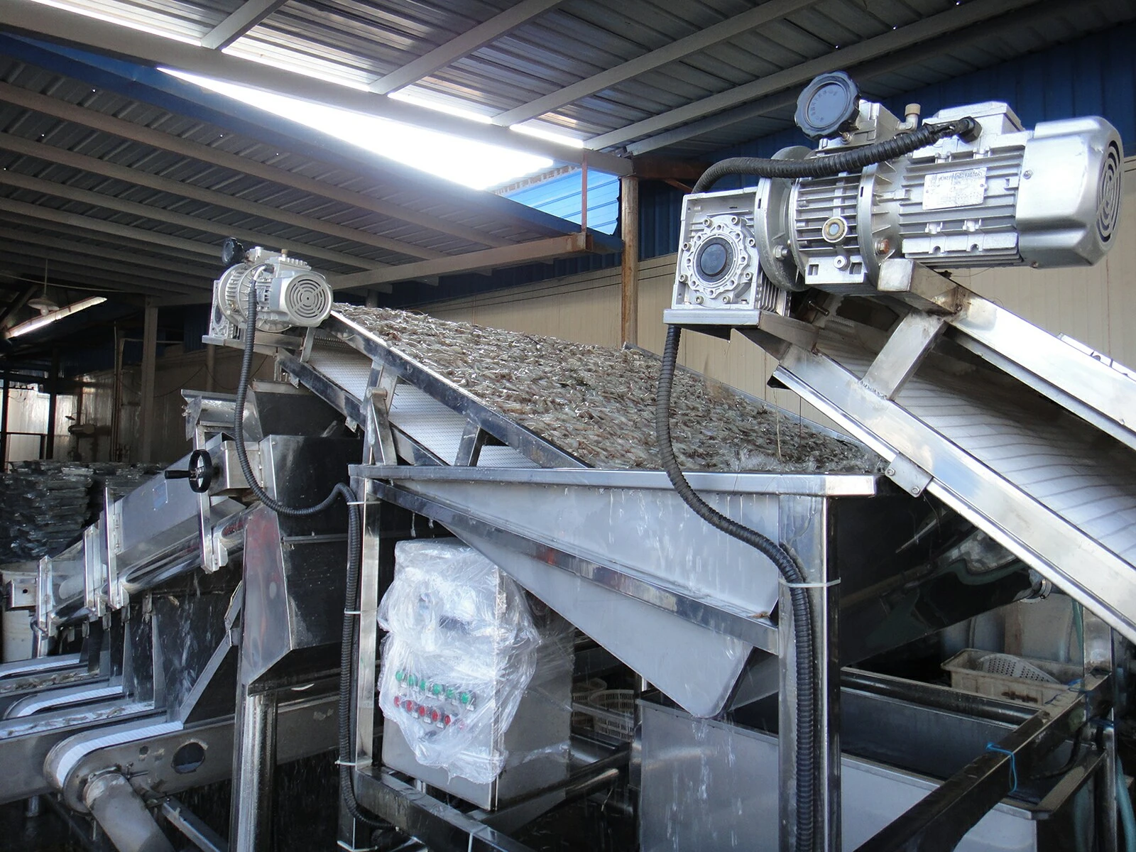 Shrimp Sorter Shrimp Sorter